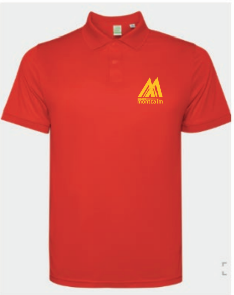 Polo – Image 3